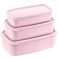 Набір із 3 контейнерів для зберігання "Sweet Pot" (300ml/500ml/800ml) AK 526